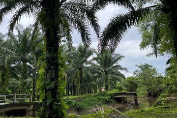 Land for sale in Khok Kloi, Phang Nga