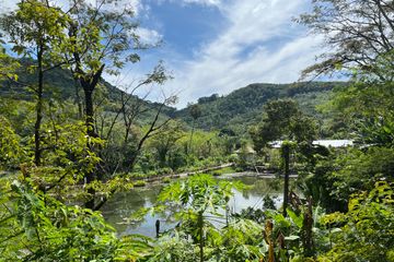 Land for sale in Thep Krasatti, Phuket