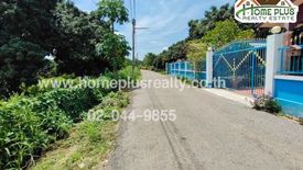 Land for sale in Rim Tai, Chiang Mai