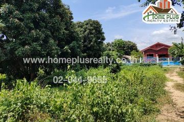 Land for sale in Rim Tai, Chiang Mai