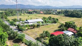 Land for sale in Luang Nuea, Chiang Mai