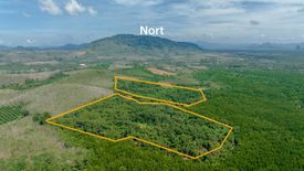 Land for Sale or Rent in Kalai, Phang Nga