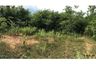 Land for sale in Nong Pla Sawai, Lamphun