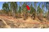 Land for sale in Huai Ton, Chaiyaphum