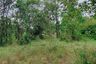 Land for sale in Na Fai, Chaiyaphum