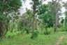 Land for sale in Na Fai, Chaiyaphum
