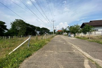 Land for sale in San Phak Wan, Chiang Mai