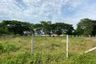 Land for sale in San Phak Wan, Chiang Mai