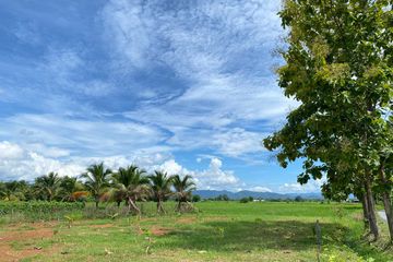 Land for sale in Pa Pong, Chiang Mai