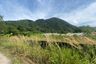Land for sale in Kamala, Phuket