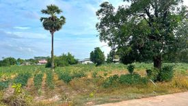 Land for sale in Nong Prue, Chonburi