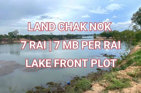 Land for sale in Nong Prue, Chonburi