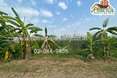 Land for sale in Sao Thong Hin, Nonthaburi near MRT Talad Bang Yai