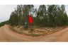 Land for sale in Khok Sung, Chaiyaphum