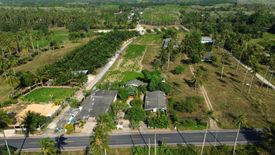 Land for sale in Khok Kloi, Phang Nga