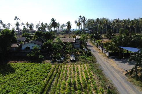 Land for sale in Khok Kloi, Phang Nga