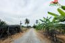 Land for sale in Bang Khu Rat, Nonthaburi
