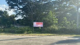 Land for sale in Nong Phueng, Chiang Mai