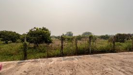 Land for sale in Nong Chang Khuen, Lamphun
