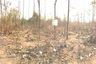 Land for sale in Nong Pla Sawai, Lamphun