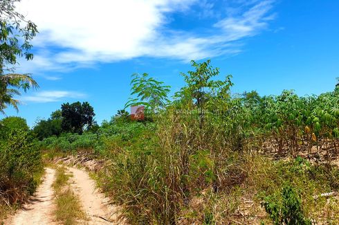 Land for sale in Huai Yai, Chonburi