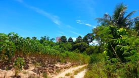 Land for sale in Huai Yai, Chonburi