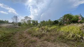 Land for sale in Tha Yu, Phang Nga