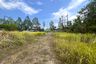 Land for sale in Tha Yu, Phang Nga