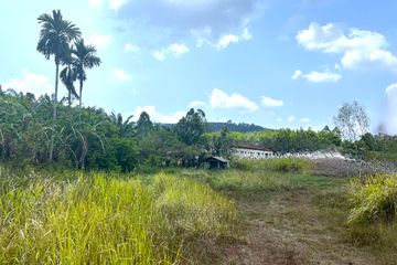 Land for sale in Tha Yu, Phang Nga