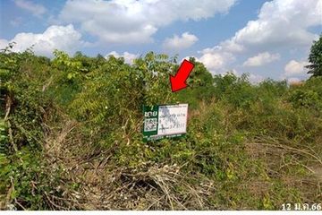 Land for sale in Takhli, Nakhon Sawan