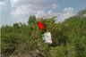 Land for sale in Takhli, Nakhon Sawan