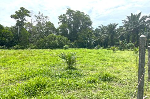 Land for sale in Na Toei, Phang Nga