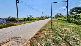 Land for sale in Pak Chong, Nakhon Ratchasima