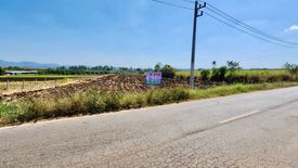 Land for sale in Pak Chong, Nakhon Ratchasima