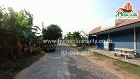 Land for sale in Nong Daeng, Maha Sarakham