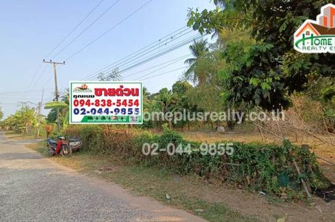 Land for sale in Nong Daeng, Maha Sarakham