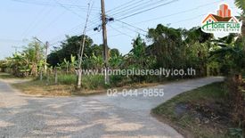 Land for sale in Nong Daeng, Maha Sarakham