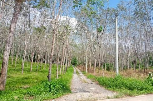 Land for sale in Lo Yung, Phang Nga