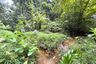 Land for sale in Tha Yu, Phang Nga