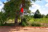 Land for sale in Khok Sung, Chaiyaphum