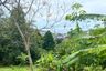 Land for sale in Patong, Phuket