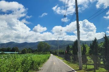 Land for sale in Tha Nuea, Chiang Mai