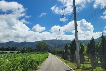 Land for sale in Tha Nuea, Chiang Mai