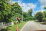 Land for sale in Tha Nuea, Chiang Mai