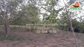 Land for sale in Lom Kao, Phetchabun