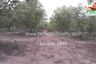 Land for sale in Lom Kao, Phetchabun
