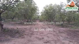 Land for sale in Lom Kao, Phetchabun