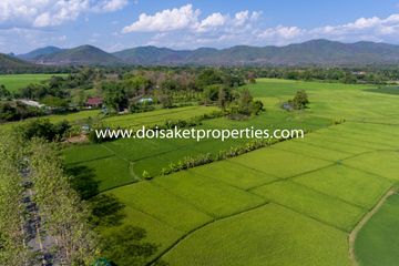 Land for sale in Luang Nuea, Chiang Mai