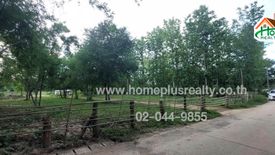 Land for sale in Wiang, Phayao