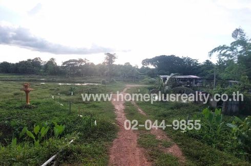 Land for sale in Wiang, Phayao